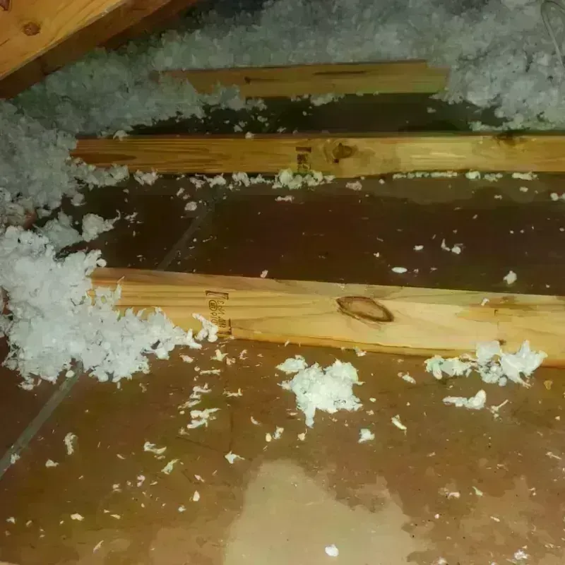 Attic Water Damage in Portsmouth, NH