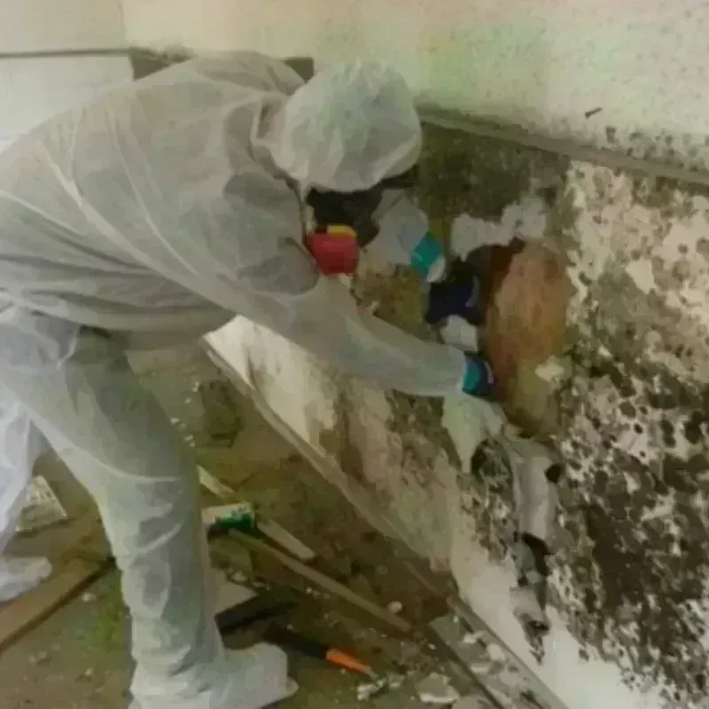 Mold Remediation and Removal in Portsmouth, NH